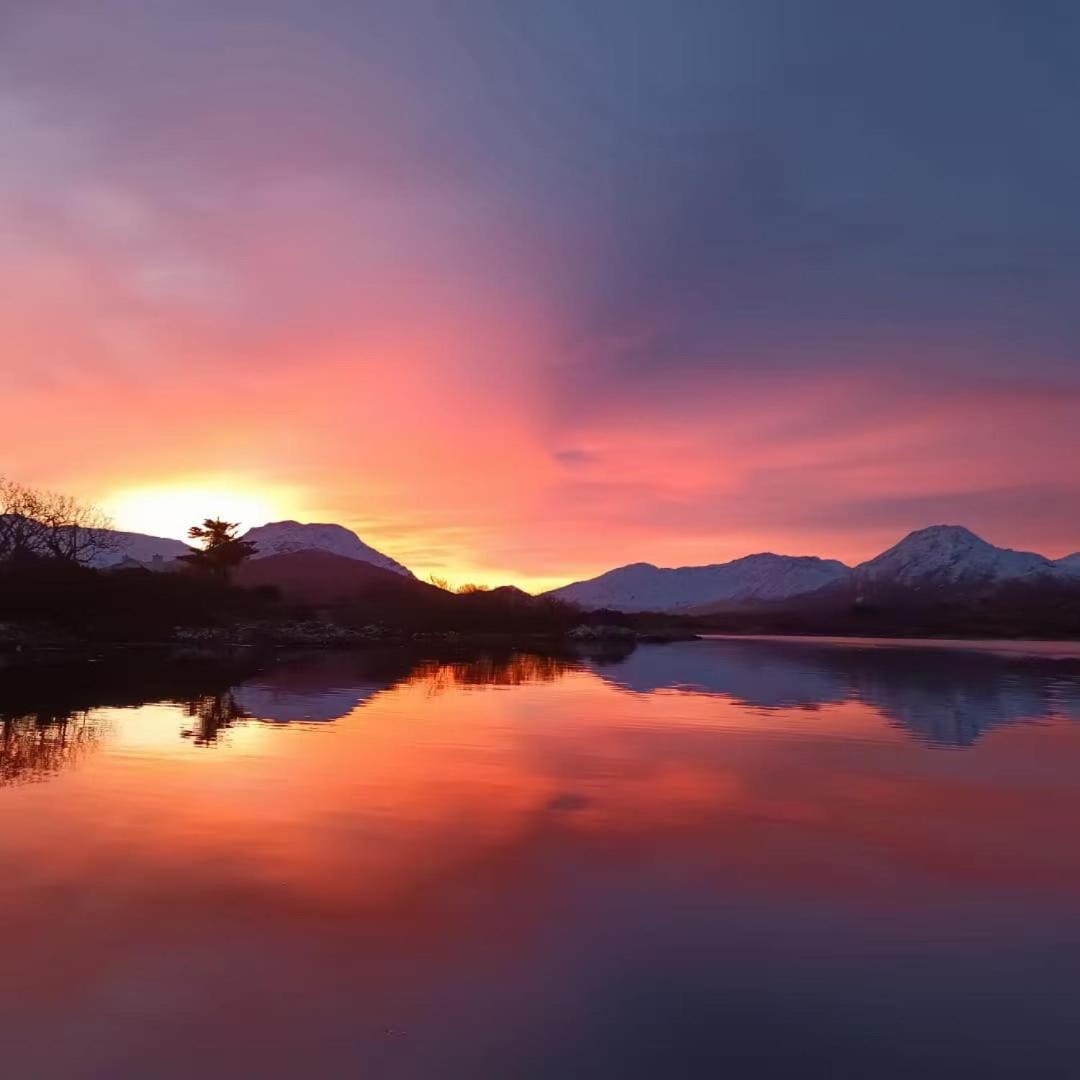 Red Deer Cosy Apartment In Letterfrack Connemara 外观 照片